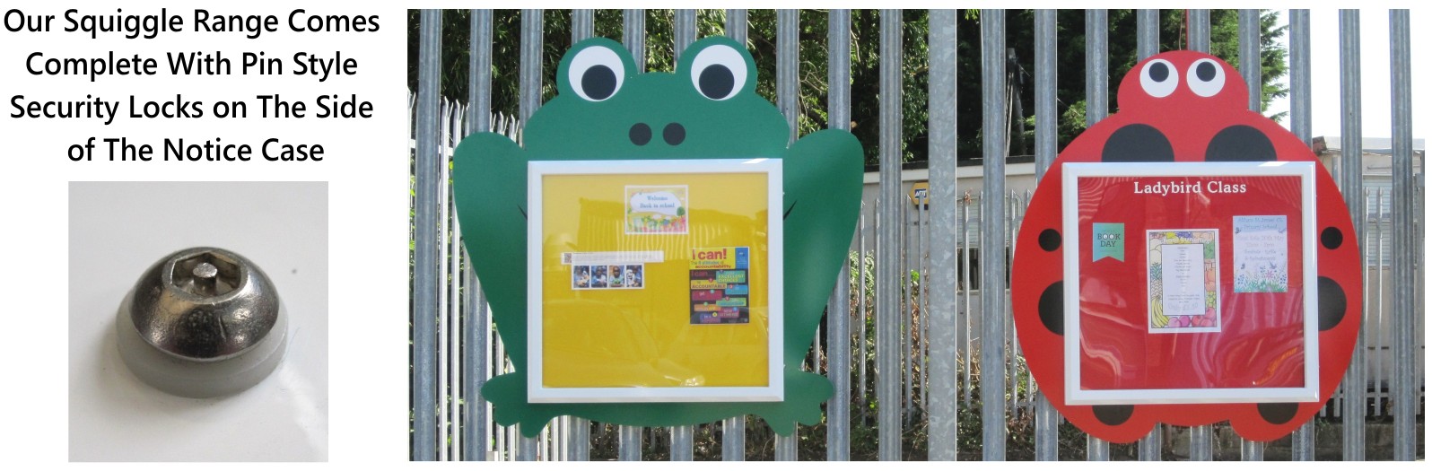 Squiggle Outdoor School Notice Boards